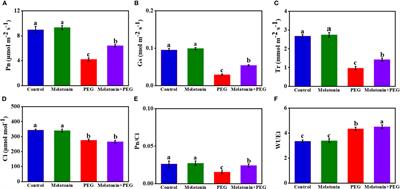 Physiological mechanism of melatonin attenuating to osmotic stress tolerance in soybean seedlings